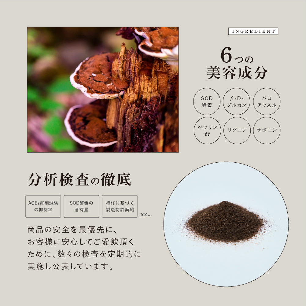 特濃チャーガ茶「リテプレミアム」15包入り – La.jemme